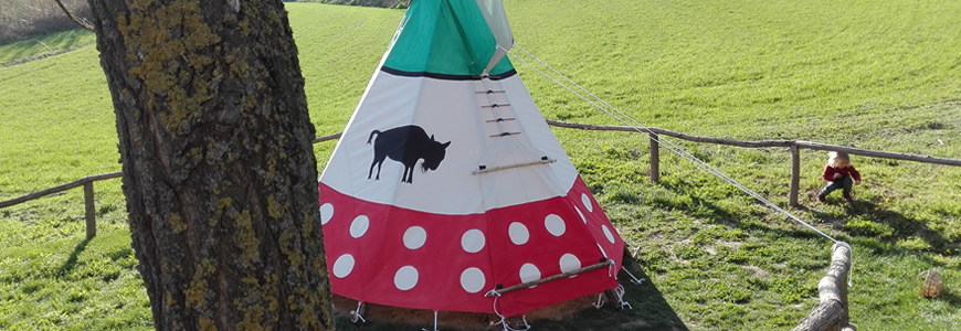 alquiler tipis bar